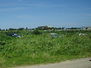 �y�i���I�H�j��S�|�C���g