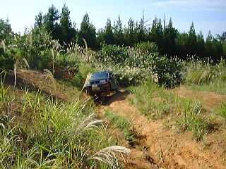 �h�b�g�h�q�n