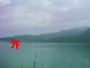 �菑���̋{��