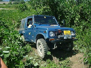 �o�P�c�̂�����������