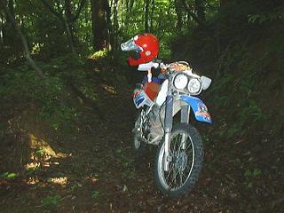 �����t���^�ɂȂ��Ă��܂��@�x�`�r�t����̐�BAJA